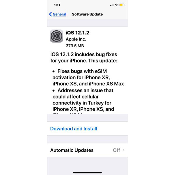iOS 12.1.2 bug fix update